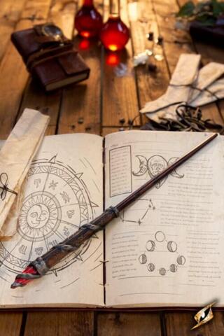 Enchanter - Wand - 35 cm - Brown