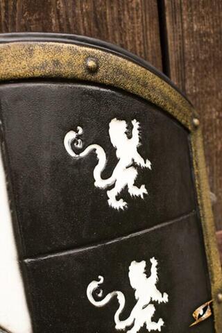 Lion Shield - M - Kant