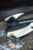 Dark Elven War Axe - 100 cm - Økse´hoved
