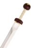 Windlass, Spiculus Sværd, Roman Gladius Sværd
